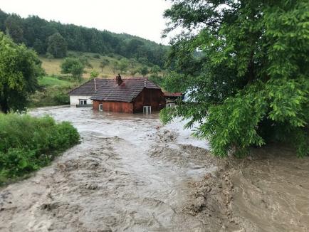 Pericol de inundaţii, în Bihor: Cod portocaliu pe Barcău şi Crişul Negru, galben pe Crişul Repede