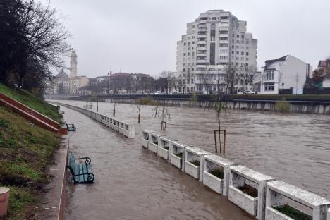 Promenada din Oradea este acoperită de apă. Crișul are un debit de 6 ori mai mare decât normalul (FOTO)