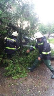 Pagube după furtună: Curţi şi beciuri inundate şi maşini distruse de copaci căzuţi peste ele, inclusiv în Oradea (FOTO / VIDEO)
