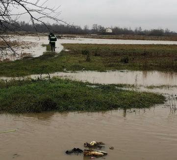 Şi inundaţi, şi fără bani lăsaţi: Bihorenii calamitaţi au şanse mici să primească bani de la Guvern