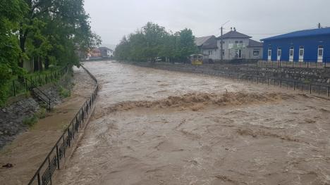Inundaţii în Bihor: Mai multe gospodării din zona Beiuş, afectate de ape. Două râuri au depăşit cotele de pericol, precipitaţii record la Stâna de Vale (FOTO / VIDEO)