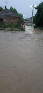 Ploile au făcut din nou ravagii în Bihor: străzi şi zeci de gospodării inundate (FOTO / VIDEO)