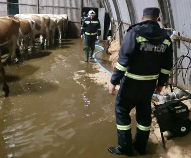 Inundaţii în Bihor: Pompierii, chemaţi să scoată apa din patru case, dar şi să salveze vacile dintr-o fermă