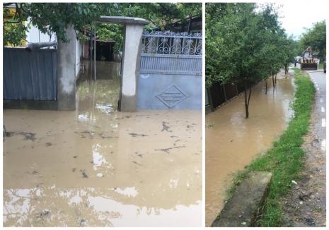 Inundaţii în cinci sate din Bihor: Mai multe gospodării afectate (FOTO)