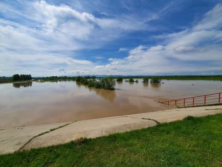 Pagube de peste 12 milioane de lei în Bihor, după inundaţiile din luna mai