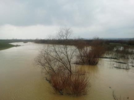 Cod galben de inundaţii pe râuri din 23 de judeţe, inclusiv din Bihor 