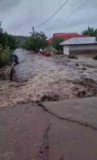 Prăpăd în Moldova din cauza ciclonului Boris: Mai multe persoane au murit într-o viitură, apa a ajuns la 1,7 metri (FOTO/VIDEO)