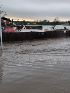 Prăpăd în Moldova din cauza ciclonului Boris: Mai multe persoane au murit într-o viitură, apa a ajuns la 1,7 metri (FOTO/VIDEO)