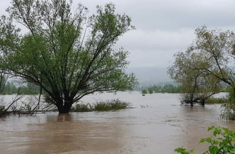 Cod galben: Risc de inundații în Bihor