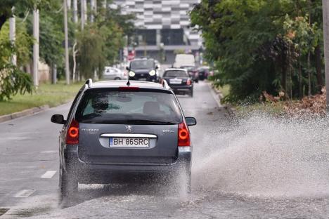 Copac căzut peste o mașină pe strada Cazaban. Mai multe străzi din Oradea au fost inundate de ploaie (VIDEO)