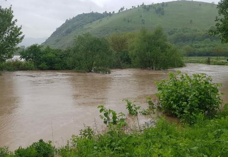 Cod portocaliu de inundații în Bihor