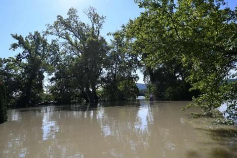 FOTO / VIDEO Ungaria sub ape: Într-un sat situat la nord de Budapesta, unde apele au ajuns între case, localnicii circulă cu bărcile