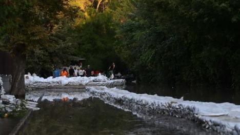 FOTO / VIDEO Ungaria sub ape: Într-un sat situat la nord de Budapesta, unde apele au ajuns între case, localnicii circulă cu bărcile