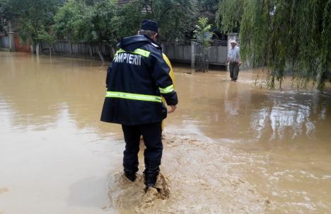 Cod galben de inundaţii pe Crişul Negru în Bihor. Sfaturile pompierilor