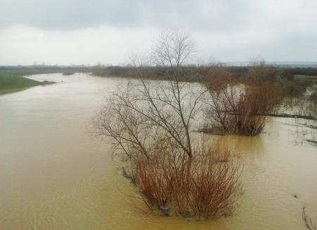 Cod galben de inundaţii, pe râuri din Bihor!