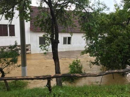 Ploile torenţiale au provocat inundaţii în Bihor. Mai multe persoane salvate de pompieri (FOTO / VIDEO)