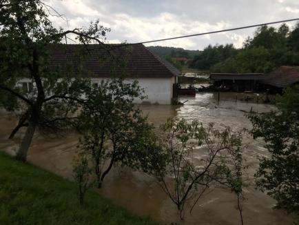 Ploile torenţiale au provocat inundaţii în Bihor. Mai multe persoane salvate de pompieri (FOTO / VIDEO)