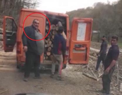 Primarul unei comune din Bihor, prins în flagrant cu lemne furate! (VIDEO)