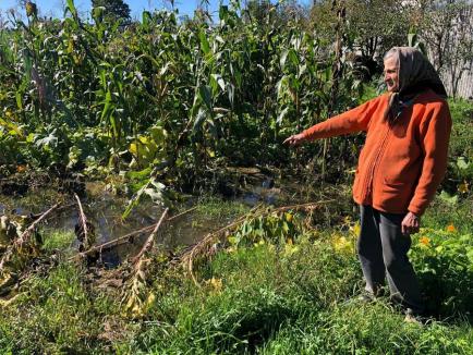 Supărarea unei pensionare din Bihor care vrea să nu-și mai vadă grădina inundată din nepăsarea vecinilor: „E dezastru aici, dar pe nimeni nu interesează”