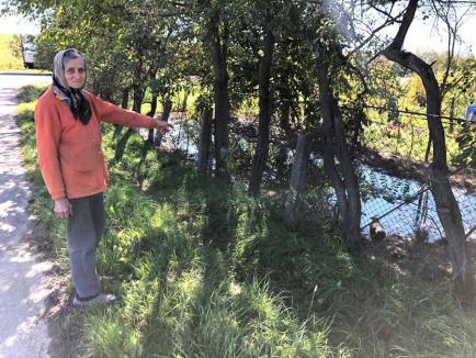 Supărarea unei pensionare din Bihor care vrea să nu-și mai vadă grădina inundată din nepăsarea vecinilor: „E dezastru aici, dar pe nimeni nu interesează”