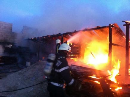 Gospodărie în flăcări, în Husasău de Criş (FOTO/VIDEO)