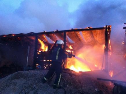 Gospodărie în flăcări, în Husasău de Criş (FOTO/VIDEO)