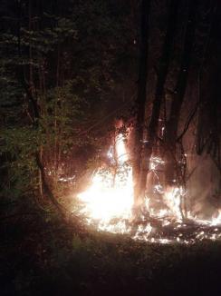 Intervenţie de 7 ore a pompierilor bihoreni, pentru stingerea unui incendiu izbucnit într-o pădure din Munteni (FOTO)