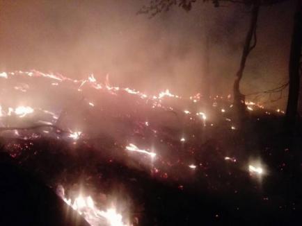 Intervenţie de 7 ore a pompierilor bihoreni, pentru stingerea unui incendiu izbucnit într-o pădure din Munteni (FOTO)