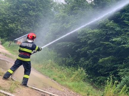 Incendiu de pădure pe 100 de hectare, scenariul unui exercițiu de amploare al pompierilor bihoreni (FOTO)