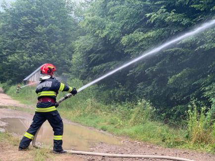 Incendiu de pădure pe 100 de hectare, scenariul unui exercițiu de amploare al pompierilor bihoreni (FOTO)
