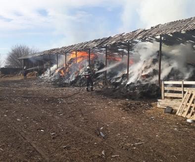 Patru incendii într-o zi: Două case și două hambare, cuprinse de flăcări (FOTO / VIDEO)