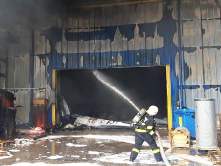 VIDEO: Ard coletele! Incendiul de pe Borșului a cuprins o hală de 4.000 mp, în care funcționează inclusiv o firmă de curierat