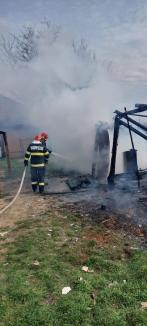 Incendiu provocat de copii, într-un sat din Bihor. Un câine a ars de viu (FOTO)