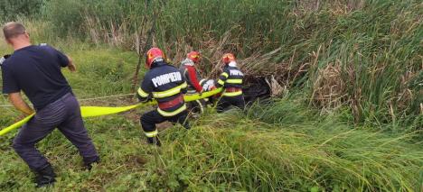 Pompierii bihoreni au salvat un mânz care căzuse într-un canal de irigații (FOTO)
