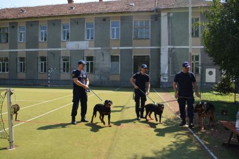 Noi 'angajaţi' la Jandarmeria Bihor: doi căţei rottweiler vor însoţi jandarmii în misiuni (FOTO/VIDEO)