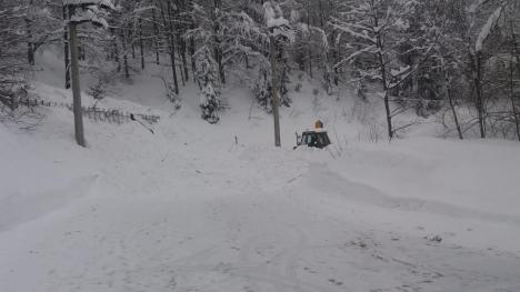 O nouă avalanşă pe DN 75, în zona Vârtop (FOTO)