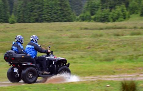 Bizonul la munte: Un bihorean de 31 de ani s-a dat cu maşina pe pajiştea alpină, la Stâna de Vale