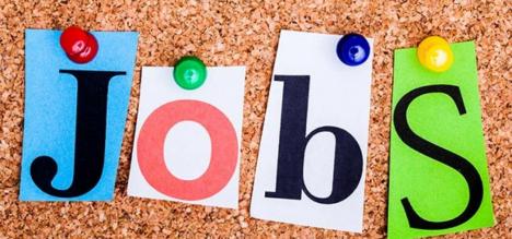 Aproape 850 de locuri de muncă vacante în Bihor. Vezi ce job-uri sunt disponibile!