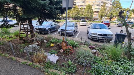 Jos pălăria! În Oradea a răsărit o grădină cu... iepuraș (FOTO)