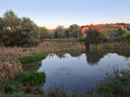 Parcuri... naturale: Primăria vrea să amenajeze parcuri în mai multe zone cu potenţial 'verde' din Oradea (FOTO)