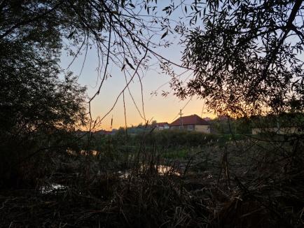 Parcuri... naturale: Primăria vrea să amenajeze parcuri în mai multe zone cu potenţial 'verde' din Oradea (FOTO)