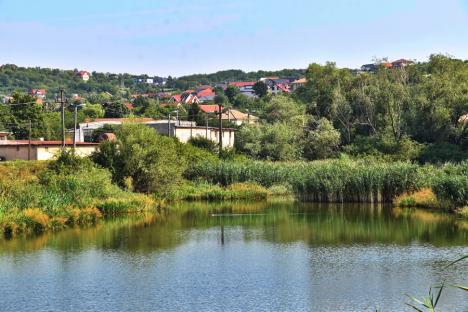 Izvor de recreere: Un lac de pe dealurile Oradiei ar putea deveni următoarea atracție a orașului (FOTO)