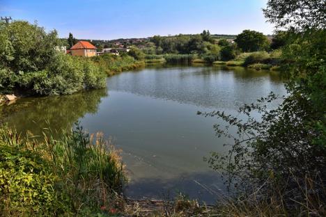 Izvor de recreere: Un lac de pe dealurile Oradiei ar putea deveni următoarea atracție a orașului (FOTO)