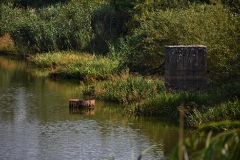 Izvor de recreere: Un lac de pe dealurile Oradiei ar putea deveni următoarea atracție a orașului (FOTO)