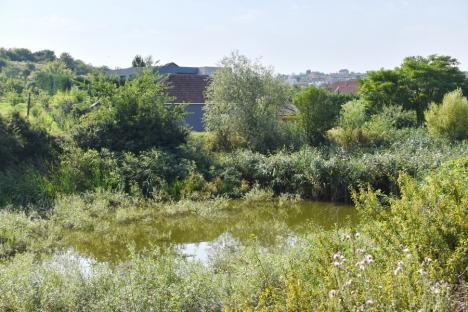 Izvor de recreere: Un lac de pe dealurile Oradiei ar putea deveni următoarea atracție a orașului (FOTO)