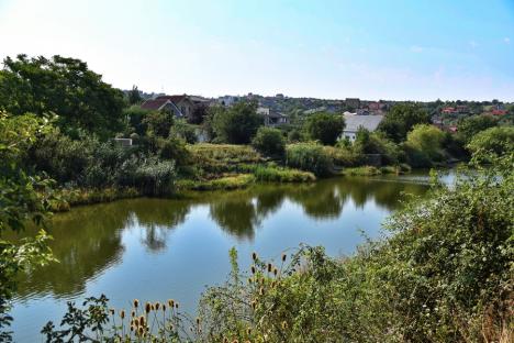 Izvor de recreere: Un lac de pe dealurile Oradiei ar putea deveni următoarea atracție a orașului (FOTO)