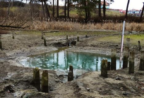 Primăria Oradea a pierdut: Lacul cu nuferi Peţea, preluat în custodie de Aqua Crisius şi WWF