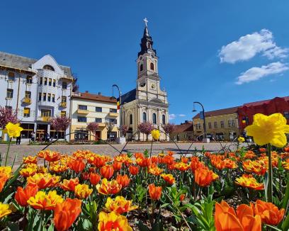 Ziua cu un singur caz confirmat de Covid-19 în Bihor. Câte îmbolnăviri s-au depistat în ultima săptămână