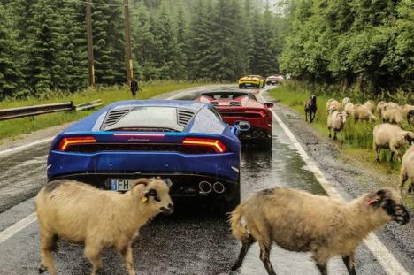 Lamborghini şi-a filmat ultimul clip publicitar printre oi şi căruţe, pe Transfăgărăşan (FOTO/VIDEO)