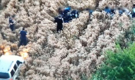 Găsiţi cu drona: 18 migranţi care voiau să treacă ilegal în Ungaria prin Salonta s-au ascuns într-un lan de grâu (VIDEO)